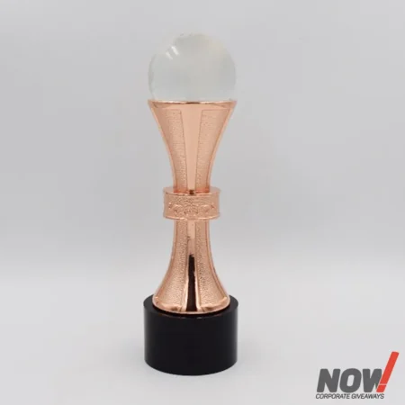 Football Trophy Award - AGT 183