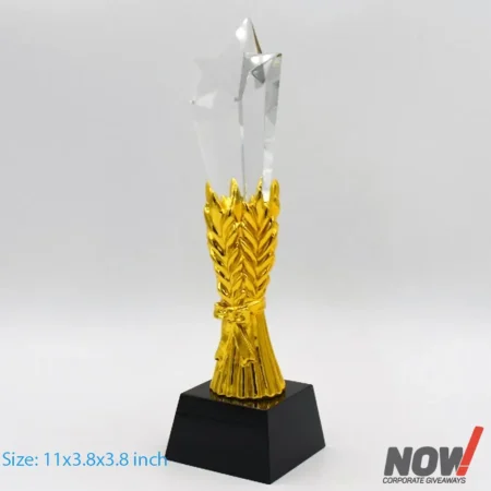 Star Award Trophy - AGT 168
