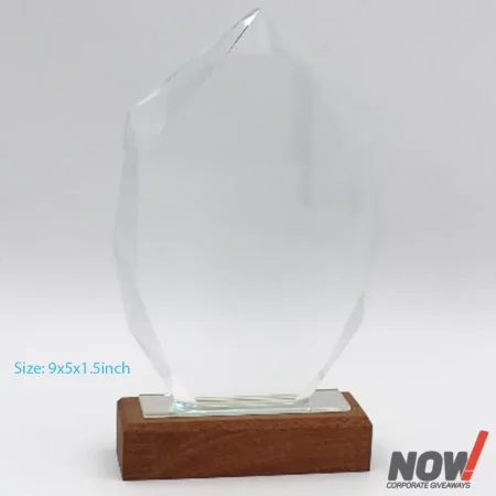Crystal Glass Shield with Wood Base - AGT 174
