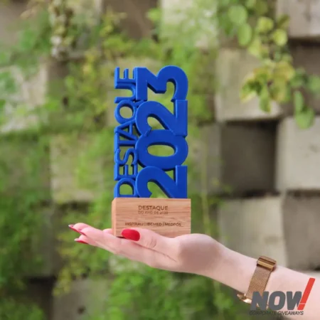 Wood and Acrylic Customize Shield and Award - CS 05