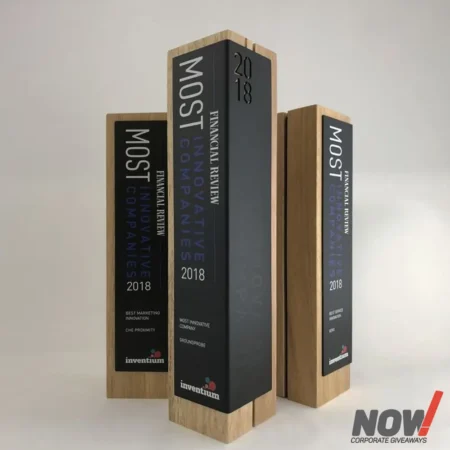Wood and Metal Customize Shield and Award - CS 03