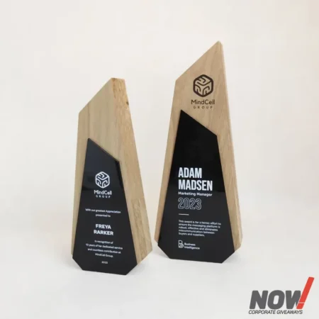 Wood and Acrylic Customize Shield and Award - CS 13